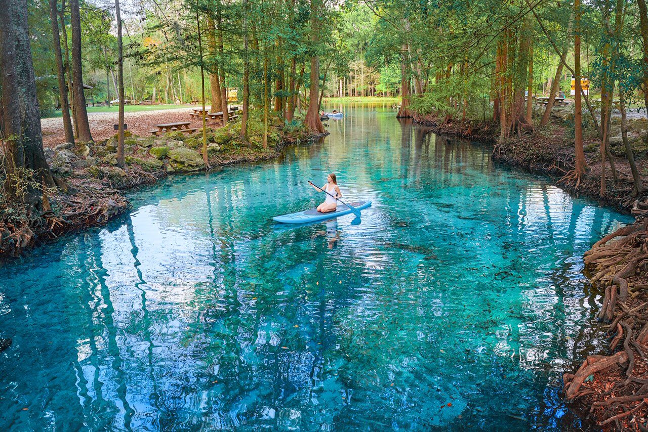 Ginnie Springs Everything You Need To Know To Plan Your Visit The