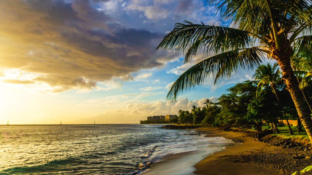 is-november-a-good-time-to-go-to-hawaii-the-family-vacation-guide