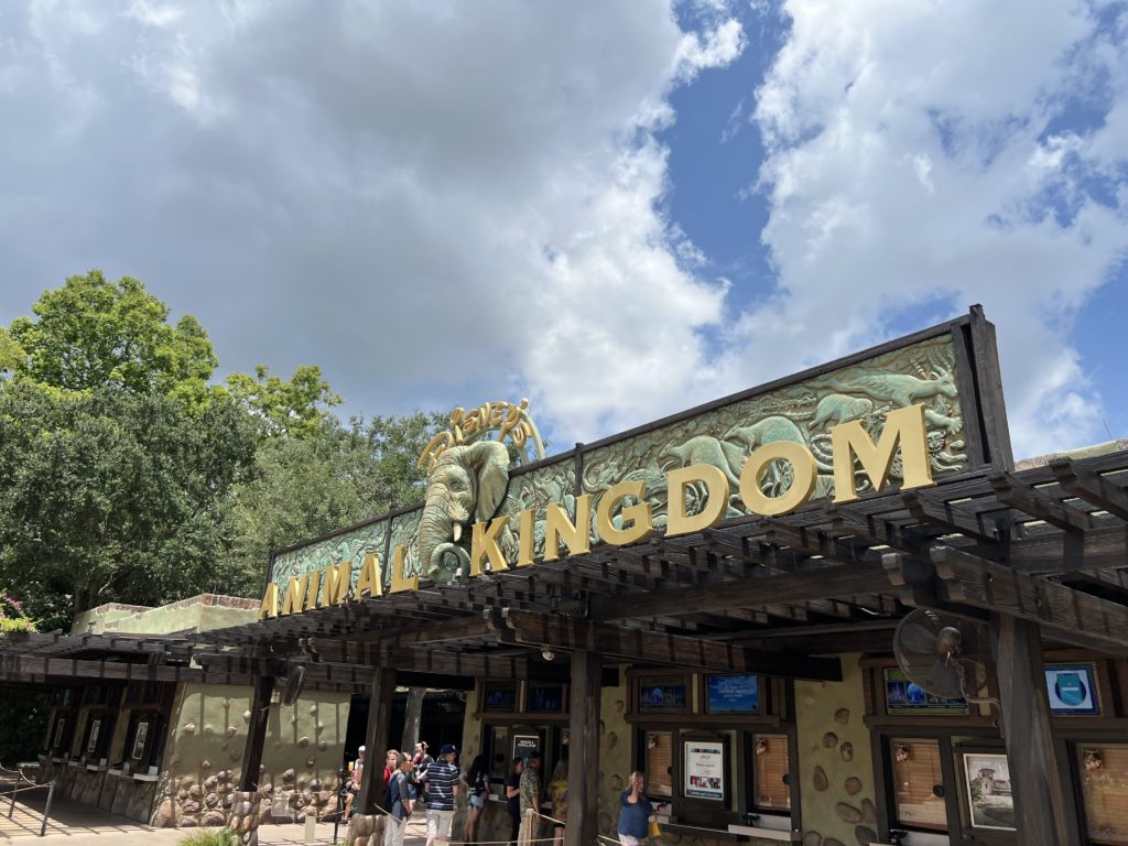 How to Get from Disney Springs to Disney’s Animal Kingdom - The Family ...