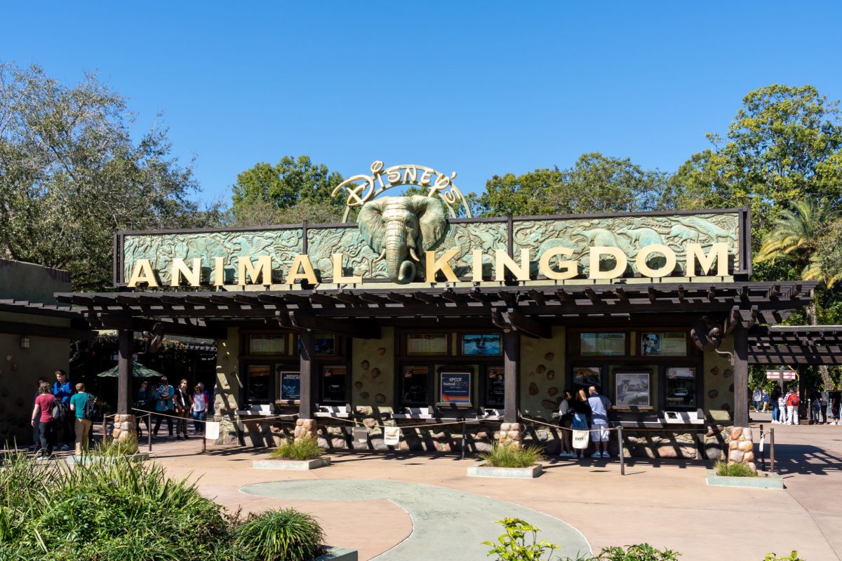 Festival of the Lion King at Disney's Animal Kingdom: The Ultimate